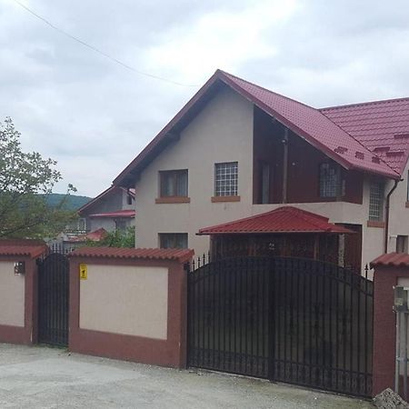 Vila De Vacanta Curtea de Argeş Εξωτερικό φωτογραφία