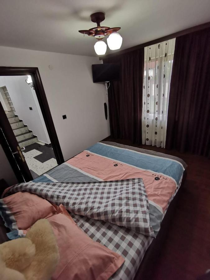 Vila De Vacanta Curtea de Argeş Εξωτερικό φωτογραφία