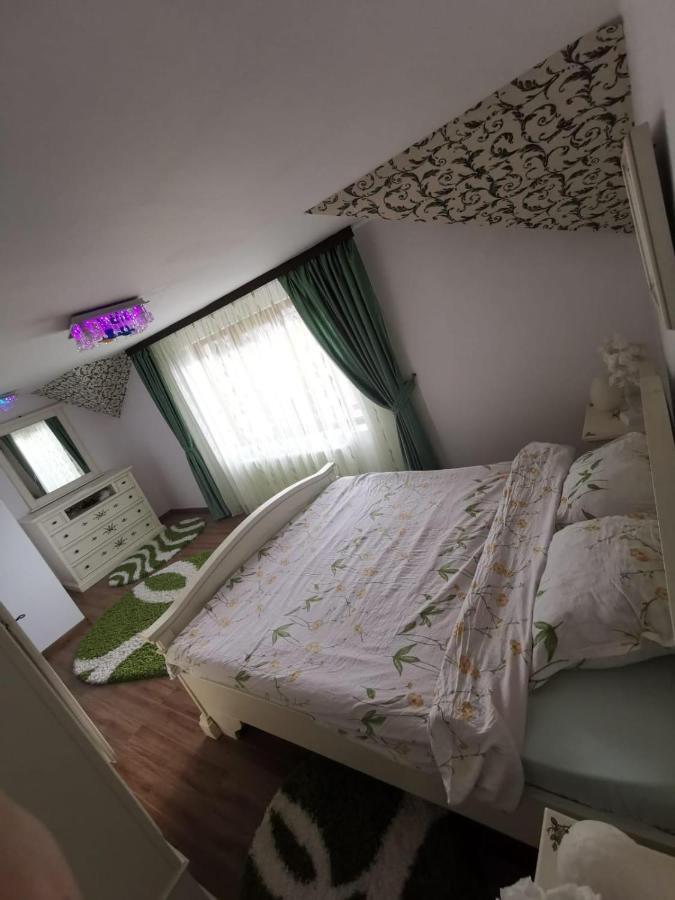 Vila De Vacanta Curtea de Argeş Εξωτερικό φωτογραφία