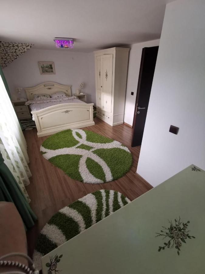 Vila De Vacanta Curtea de Argeş Εξωτερικό φωτογραφία