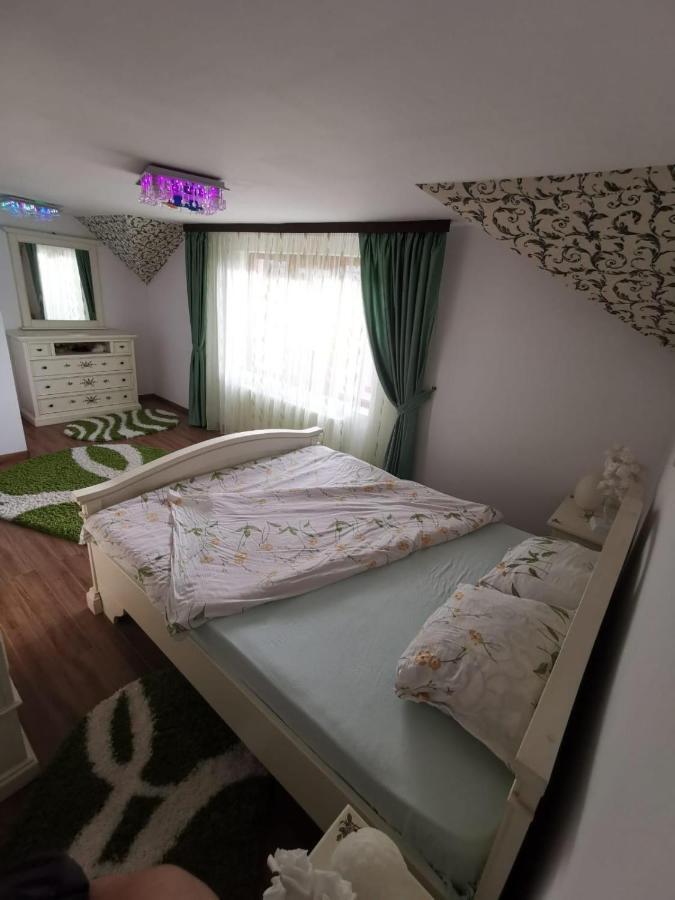Vila De Vacanta Curtea de Argeş Εξωτερικό φωτογραφία