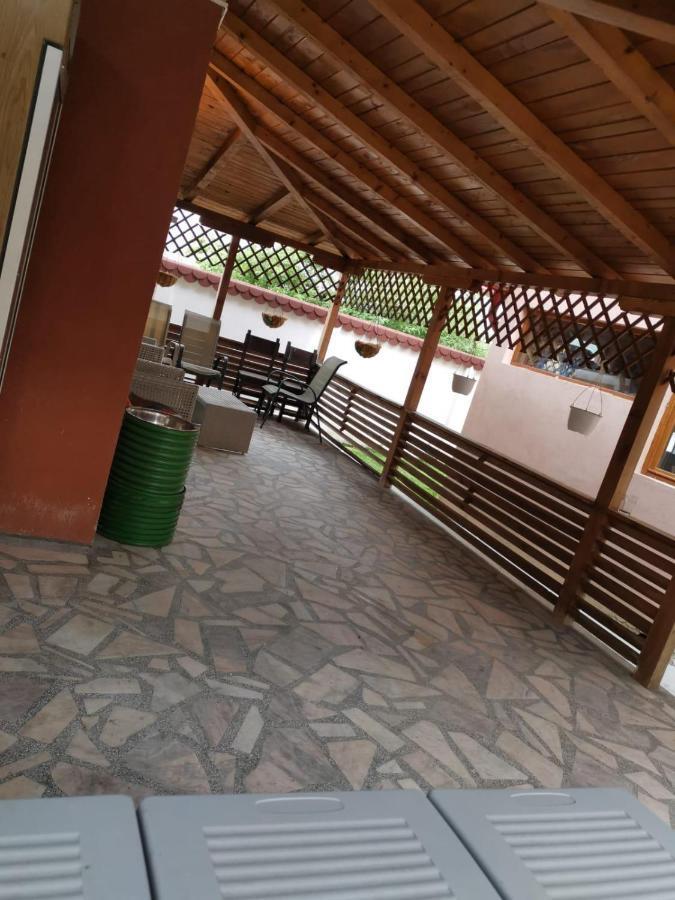 Vila De Vacanta Curtea de Argeş Εξωτερικό φωτογραφία