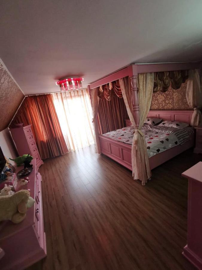 Vila De Vacanta Curtea de Argeş Εξωτερικό φωτογραφία