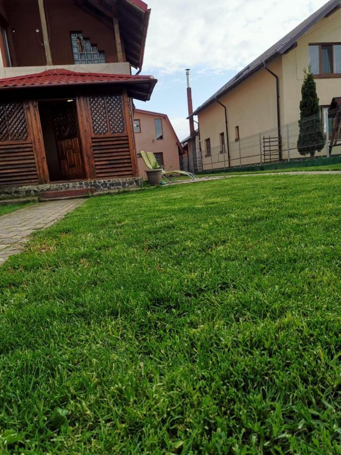 Vila De Vacanta Curtea de Argeş Εξωτερικό φωτογραφία